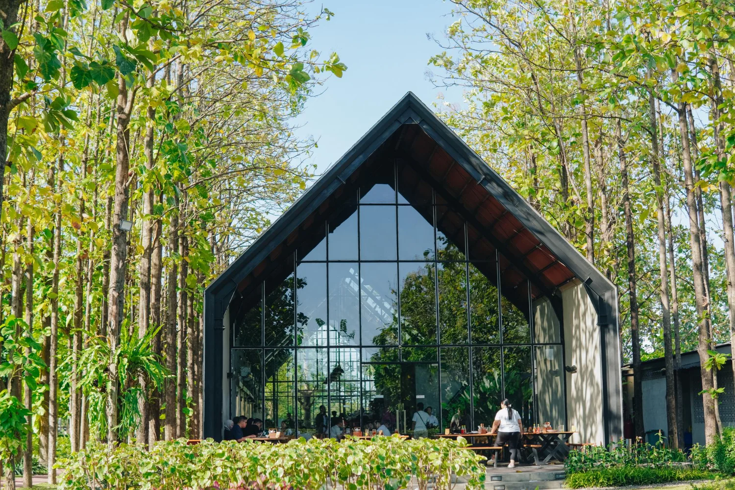 How Edmonton Home Builders Are Redefining Green Design